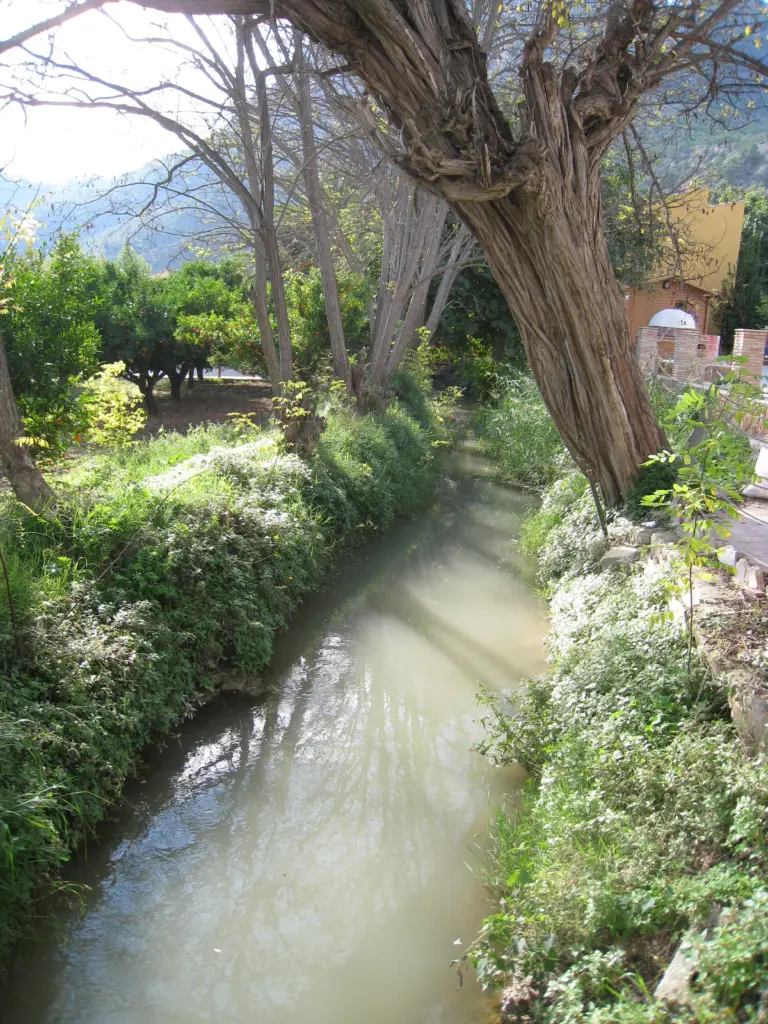 1.-Visitas-por-los-bellos-rincones-de-la-Huerta-de-Murcia